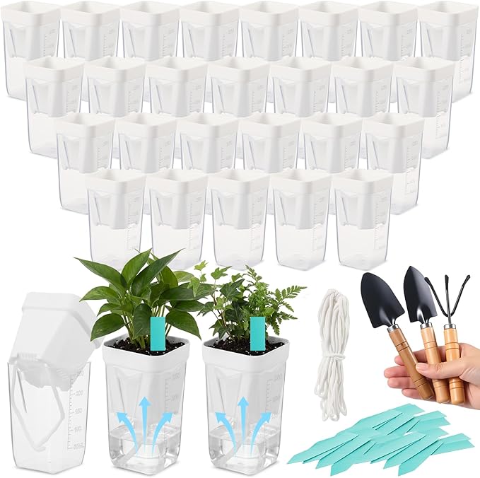 30 Pack 2.5" Small Self Watering Pots for Indoor Plants Clear Mini Self Watering Plant Pot with Water Level, Drainage Holes 30 Plastic Label 3 Planting Tools, Rope for Propagation Succulents