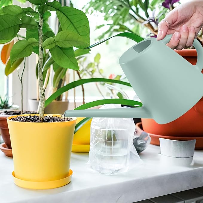 Indoor and Outdoor Watering Can - Long Spout -1/2 Gallon (64oz) - Light Green