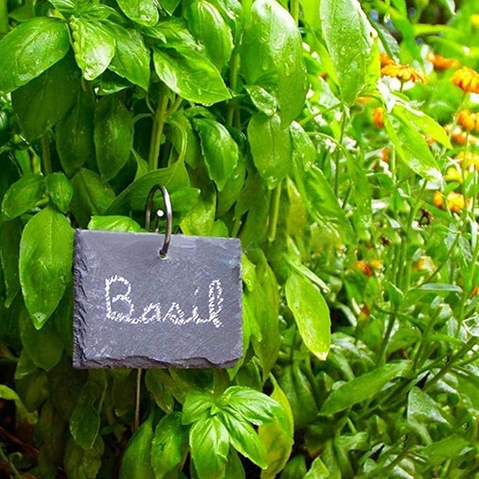 20 Pcs Silver 20cm Plant Label Hooks Garden Markers Stake Plant Label Holder Hanger Plant Sign Stake Rustproof Deformed Garden Plant Sign Hooks Hanging Rods for Flower, Planter