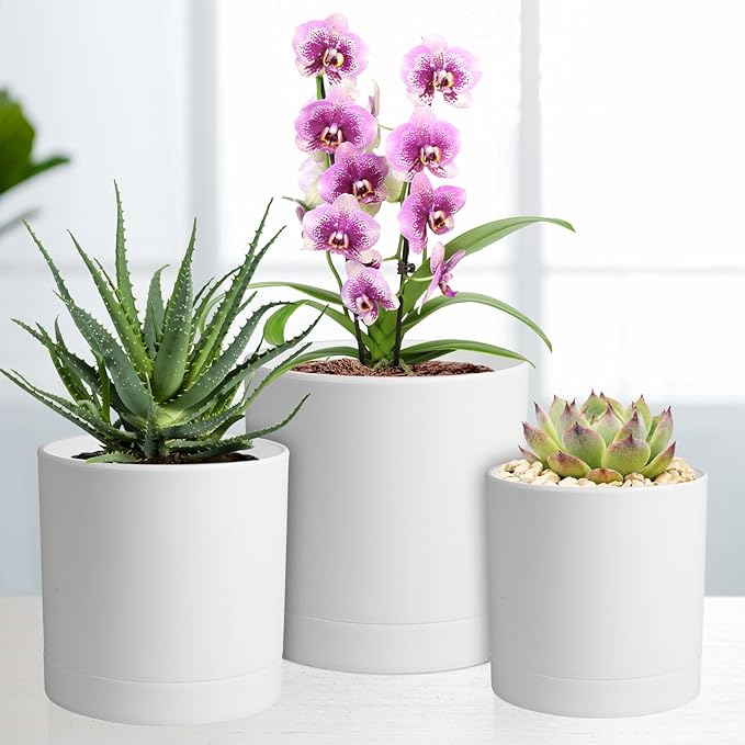Meowell 6/5/4 inch Flower Pots, Pack of 3 Cylinder Plant Pots for Small Indoor Outdoor Plants, Plastic Planters with Drainage Holes and Saucers for Garden Succulent Nursery House Plants, White