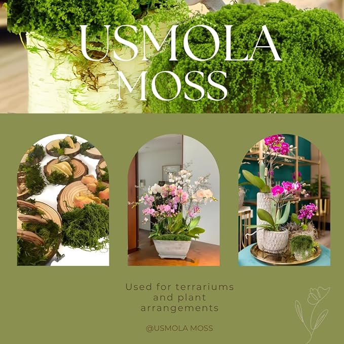 USMOLA 3.5OZ Fake Moss for Plants Indoor - Artificial Moss for Table Centerpieces, Fairy Gardens, Terrariums - Realistic Faux Grass for Wedding Christmas Party Decor (Light Green)
