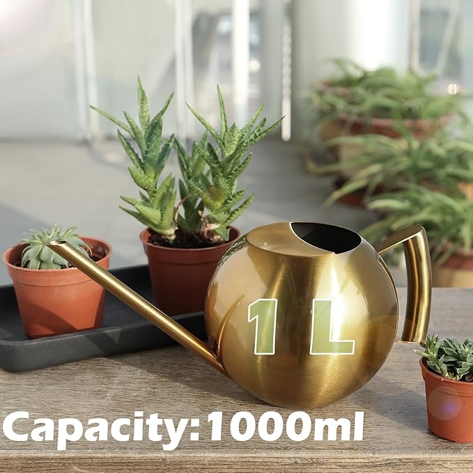 Watering Can with Long Spout and Comfortable Handle, 35 oz/1000ml Small Watering Can for Indoor Plants, Stainless Steel Garden Watering Pot for Indoor House Plants Bonsai Flower Decorative