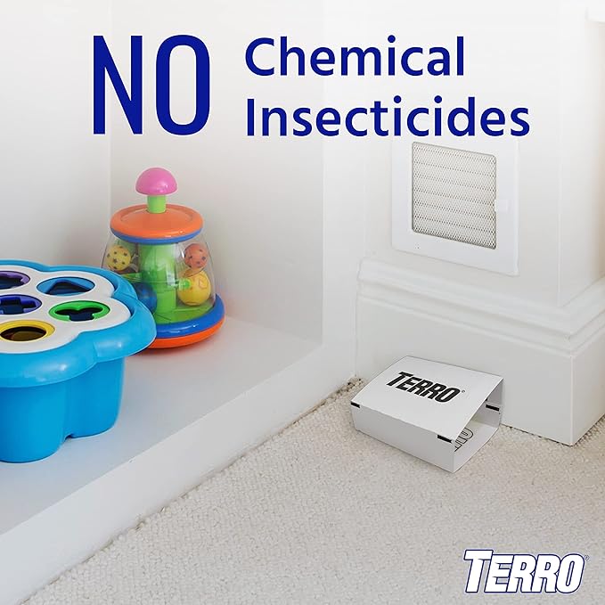 TERRO Spider & Insect Trap T3206-10 - Pack of 10 Insect Traps