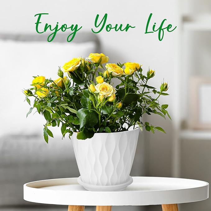 YNNICO 6 inch Plant Pots, 5 Pack Flower Pots Outdoor Indoor, Planters with Drainage Hole and Tray Saucer（White