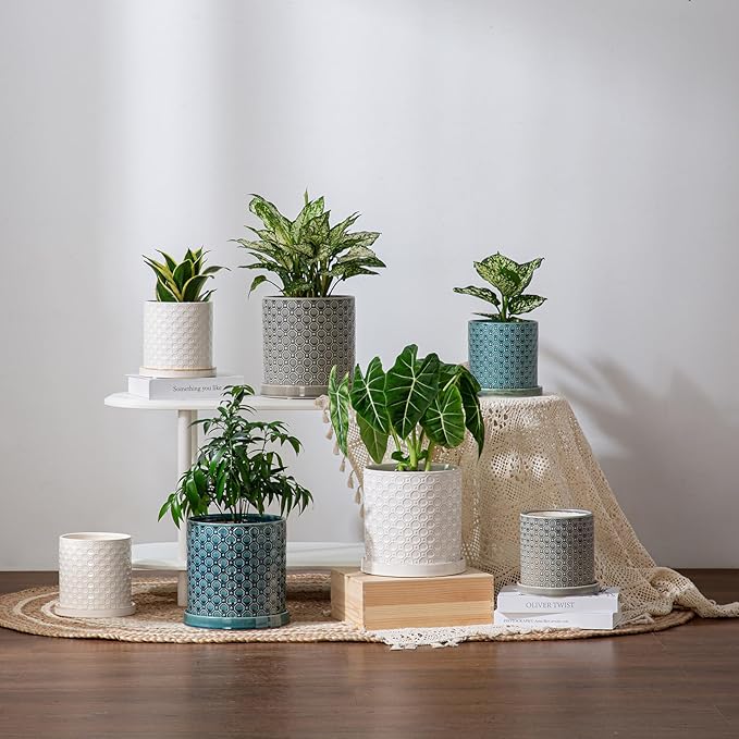 8 Inch Plant Pot: Ceramic Planter with Drainage Hole & Saucer Indoor Outdoor Plants - Cylinder Round Flower Pot for Home Office - Modern Decorative - Medium Blue