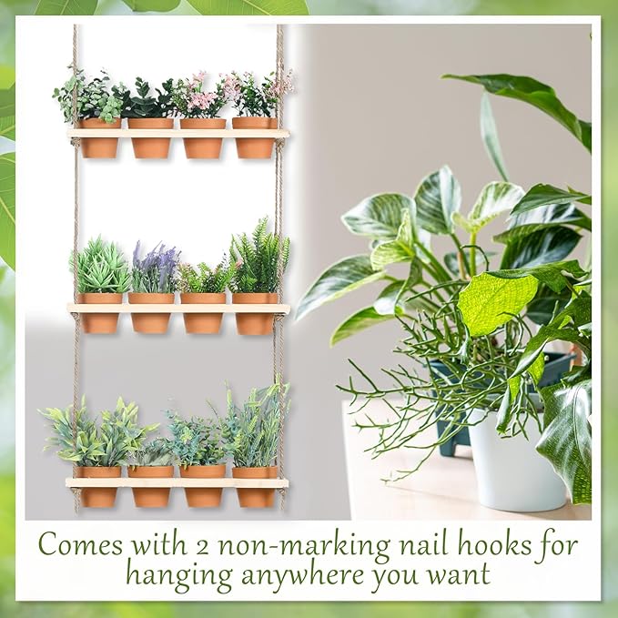 FillTouch 3 Tiered Hanging Herb Planters Hanging Herb Garden Wall with 12 Pcs Nursery Pot Wood Vertical Window Plant Shelf with Holes and Rope Plastic Flower Pots Spring Garden Indoor Kitchen