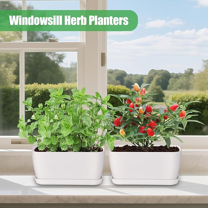 Oliz 6 Set Window Herb Planter Box Rectangular, White Plastic Planters with Multiple Drainage Holes and Trays,Indoor Succulent Cactus Mint Flower Pot for Windowsill, Garden Balcony