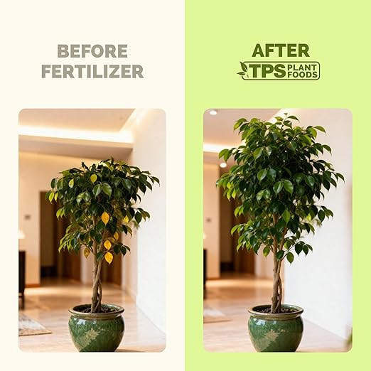 Ficus Tree Fertilizer – Liquid Plant Food for Lush Foliage, Stronger Roots & Healthy New Growth, 32 oz