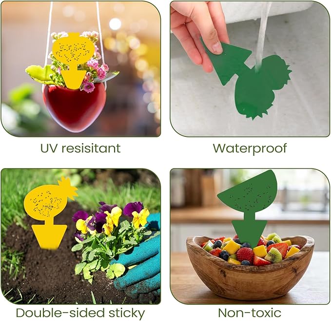 Qualirey 200 Sheets Fruit Fly Sticky Traps for Fruit Fly Gnat Trap for House Indoors Sticky Traps Catcher for Gnats Fungus Gnats Mosquito Catcher Kitchen Outdoor Plants (Fresh Style, Yellow, Green)