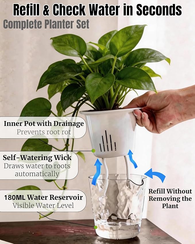 3-Pack Clear Self Watering Plant Pots, 5 Inch Clear Flower Pots with Drainage Holes, Tray and Rope, Plastic Self Watering Planters for Indoor Outdoor Garden Plants, African Violet, Herbs