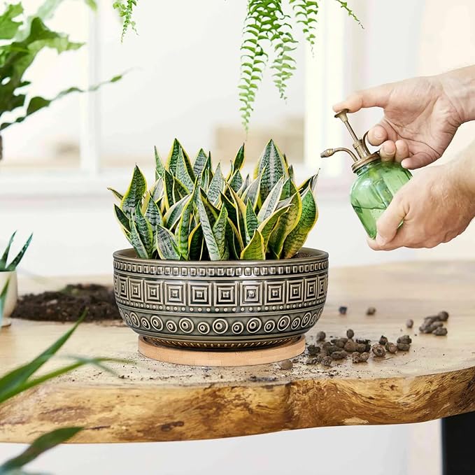 G EPGardening 8 Inch Ceramic Succulent Planter Pots Round Shallow Bonsai Planter Pot for Indoor Plants with Drainage and Bamboo Saucer Gray