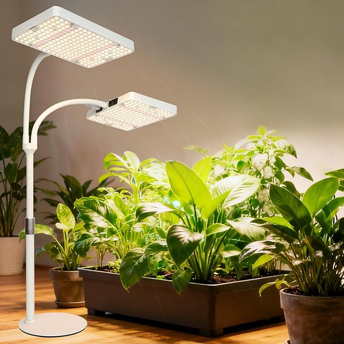 2Head Tabletop Grow Light, Bright and Big Coverage Grow Lights for Seed Starting, Bonsai, Succulent, 4/8/12/16/20H Timer, 50 Watt Power Draw, NO Need Adapter, 16"-24" Height Adjustable