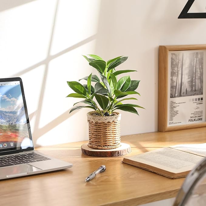 Nubry Fake Plants Artificial Potted Plants with Weaved Pot for Shelf & Table Desk | Perfect for Home Office Bathroom Farmhouse Room Coffee Table Decor 10‘’