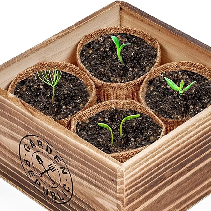 Herb Garden Starter Kit Herb Seed Growing Kit Herb Garden Starter Kit DIY Grow Indoor Garden Set Gift for Home Plant Starters Balcony
