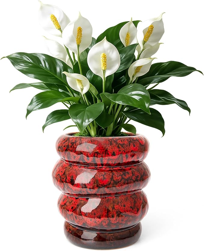 Ceramic 5 inch Plant Pot - Planter for Indoor Plants with Drainage Hole, Flower Pots for Orchid, Succulent,Outdoor Plants, Modern Glaze Planters for Home Office Decor Gift
