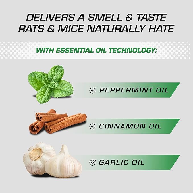 Tomcat Repellents Rodent Repellent Ready-to-Use with Comfort Wand - For Indoor and Outdoor Mouse and Rat Prevention, Peppermint Oil Spray for Rodents with Cinnamon & Garlic Essential Oils, 1 gal.