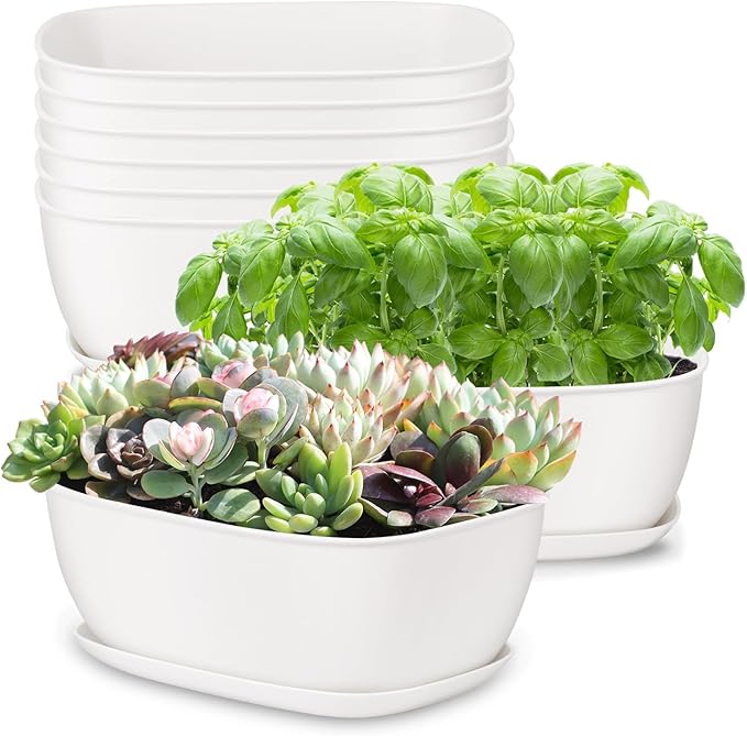 Oliz Set of 8 White Oval Shallow Herb Garden Planters with Drainage Holes and Trays (8.66 Inch) Plant Pots for Herbs Basil Orchids Succulents, Modern Herb Garden Planter for Indoor/Outdoor Plants