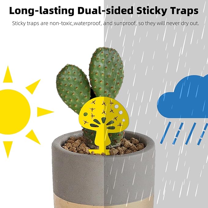 36PCS Fruit Fly Sticky Traps Fungus Gnat Traps Insect Trap for Plants Kitchen Indoor Outdoor White Flies Mosquitos Fungus Gnats Flying Insects Houseplant Gifts (Mushroom Shape)