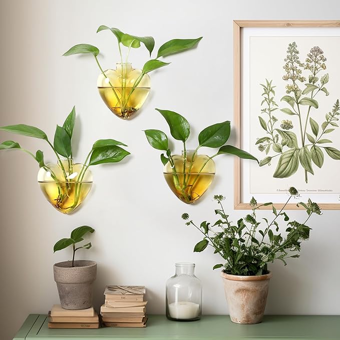 Wall Hanging Planter Propagation Station for Indoor Plants Glass Vase Air Plant Holder for Bathroom Living Room