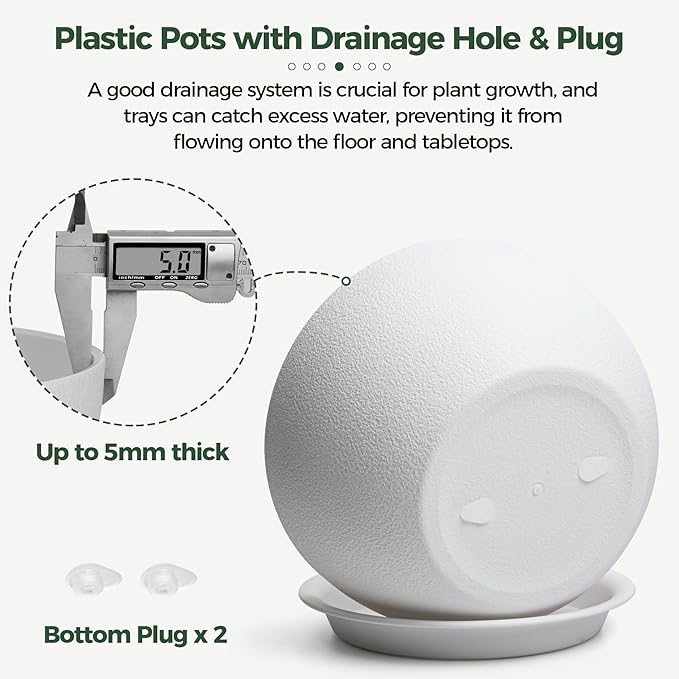 T4U 8 Inch Plant Pots 2 Pcs, Flower Pots for Plants, Plastic Planter Pots for Indoor Plants with Drainage Holes and Saucer (2 Pcs, 8", White)