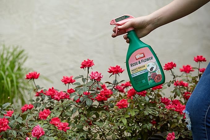 Ortho Rose and Flower Insect Killer, 24-Ounce