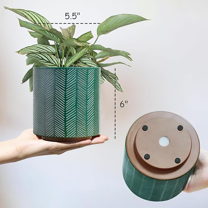 GUGUGO Slash Line Plant Pots, Boho Modern Geometric Planters Pots for Indoor Plants, Cute Unique Flower Pot with Drainage, Eclectic Colorful Small Succulent Planter Funky Gardening Pot Gifts, Green
