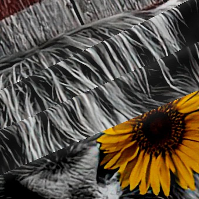 Feelyou Highland Cattle Window Curtains Bedroom Living Room Sunflower Highland Cow Curtains Kids Room Decor Boys Girls America Flag Bull Window Drapes Animal Window Treatments 52W X 63L，2 Panels