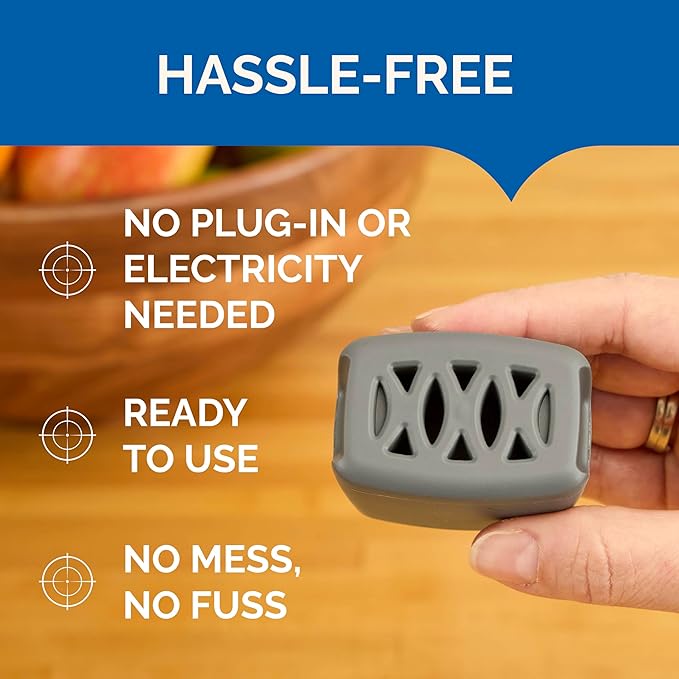 Hot Shot Flying Insect Trap, Discreet, Hassle-Free Trap Attracts, Captures House and Fruit Flies, 24/7 Continuous Attraction, No Plug-in Or Electricity Needed, 6 Count