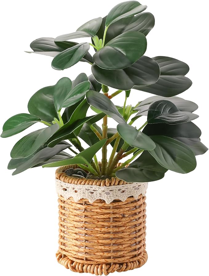 Nubry Fake Plants Artificial Potted Plants with Weaved Pot for Shelf & Table Desk | Perfect for Home Office Bathroom Farmhouse Room Coffee Table Decor 10‘’