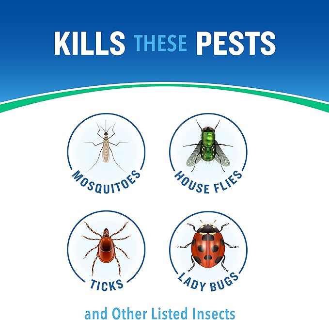Cutter Bug Control Spray Concentrate | Kills Mosquitoes | For Insects | Pack of 2