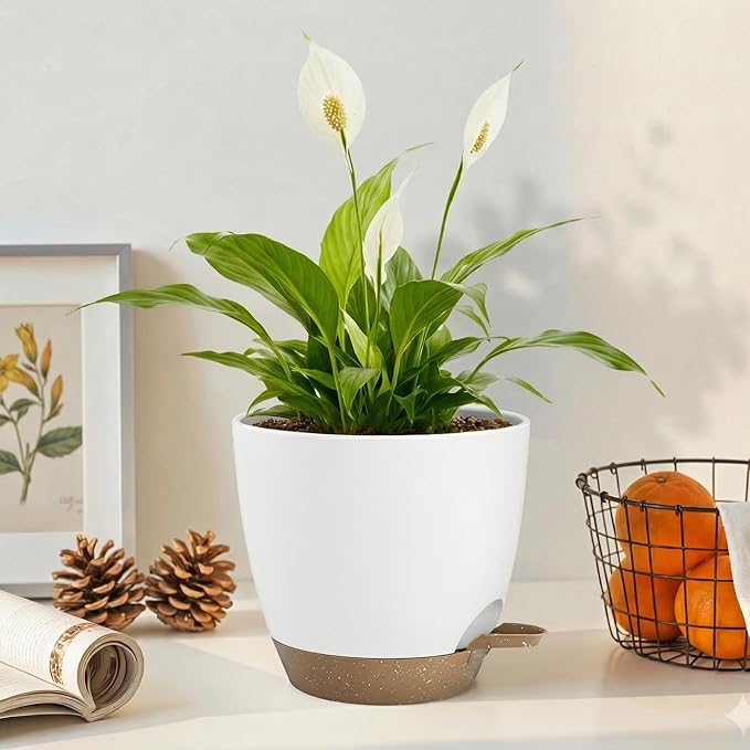 Plant Pots 8/7.5/7/6.5/6 Inch Self Watering Pots,5 Pack Planters with Drainage Holes and Saucers,Plastic Flower Pots,Nursery Planters for Indoor Outdoor Plants (White)