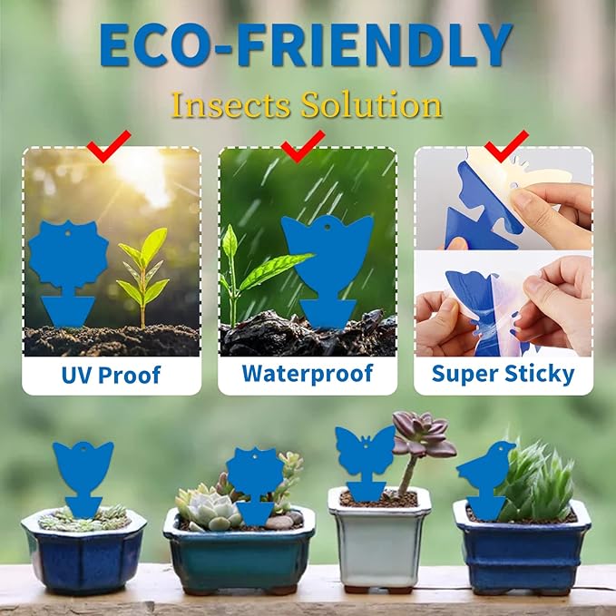Fruit Fly Traps for Indoors,20pcs Sticky Fly Traps,Gnat Traps,Bugs Catcher for House Outdoor, Bonus 4 Fly Paper Tubes Home Office (Blue)