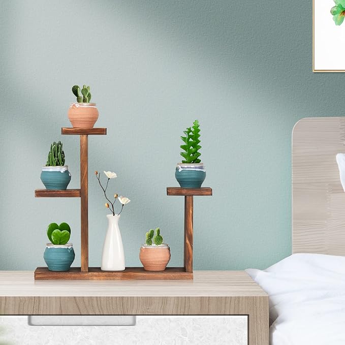 Wooden Tabletop Plant Stand - 5 Tier Succulent Plant Holder Decorative Planter Holder, Small Desktop Flower Pot Rack Shelf for Decoration Living Room Home Office Windowsill