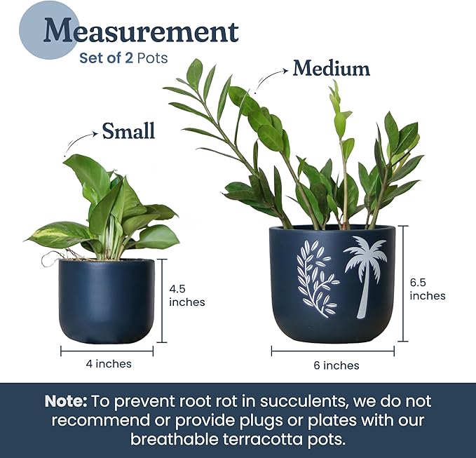 FINE Living 4 Inch & 6 Inch Terracotta Pots for Plants, Set of 2, Ceramic Planter Clay Pots Planter with Drainage Hole and Mesh Net for Gifts, Garden & Home Decor, Blue