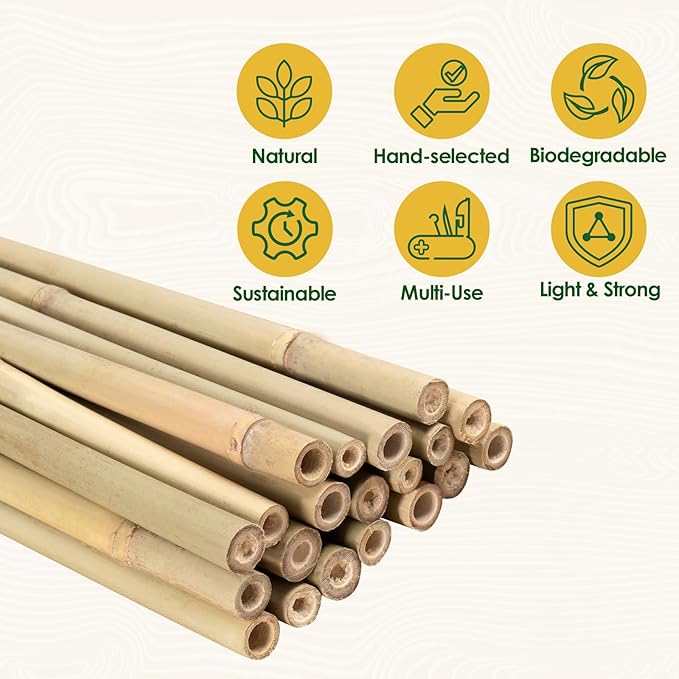 Cambaverd Bamboo Stakes 4 Feet Thicker Garden Stakes with Garden Twine, Diameter of 0.55in Natural Plant Stakes Bamboo Poles for Climbing Plants Support Tomato Cage - 20 Pack Bamboo Sticks for Plants