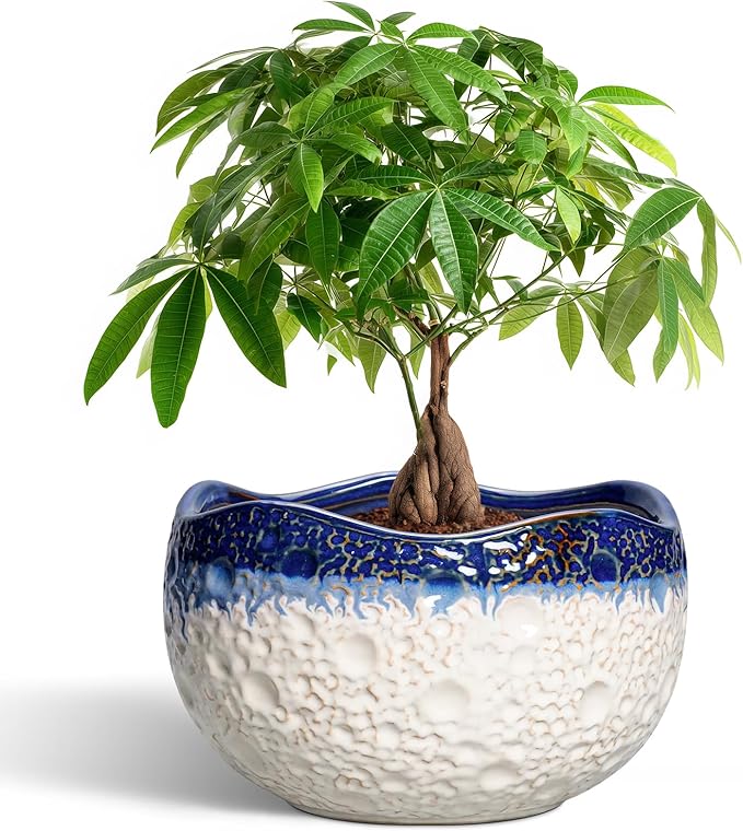 Ceramic Flower Pots - 10 Inch Planter for Indoor Outdoor Plants, Decorative Planter with Drainage Hole and Plug, Round Large Plant Pots, Garden Decor, Gifts for Plant Lovers, Beige-Blue