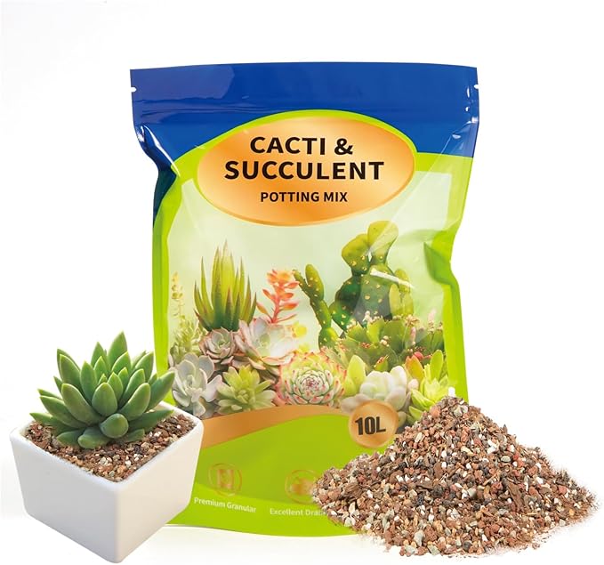 Succulent & Cactus Soil Potting Mix 10qt, Chunky Dirt with Fast Draining Fits for Bonsai, Terrarium and Houseplant
