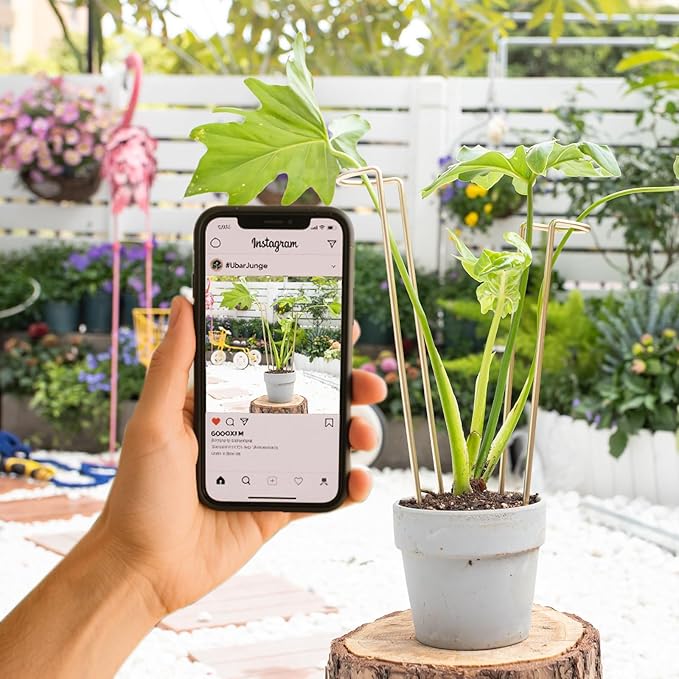 12-Inch Monstera Support - 10 Pack Medium Plant Support for Indoor and Outdoor Plants, Durable Stem Holder Trellis for Monstera and Spring Plant Stakes, Ideal for Home, Balcony, and Terrace