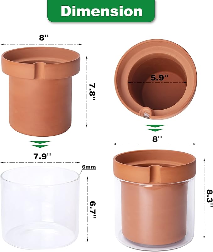 Phoenix Vine 8 Inch Self Watering Planter Pot, Terracotta Clay Pot with Glass Reservoir for Indoor Plants, Herbs, Flowers, Set of 1, 52-A-H-1