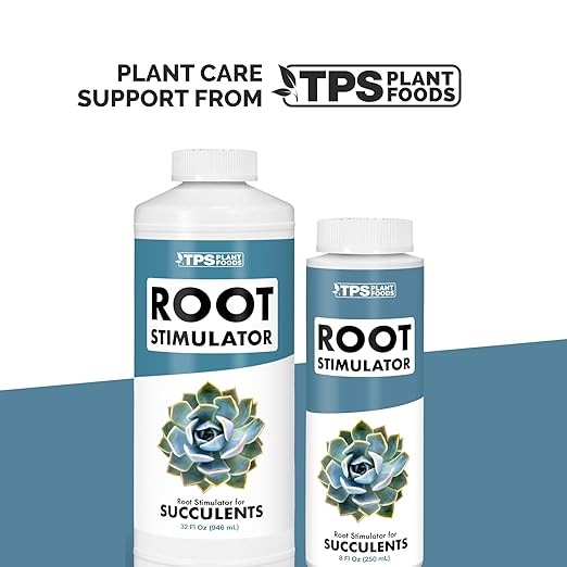Root Stimulator for Succulents – Liquid Root Supplement with Kelp & Probiotics for Stronger Roots & Improved Water Efficiency, 32 oz