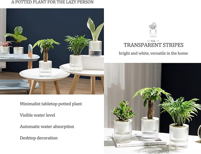 7 Inch Self Watering Pots,Clear Self-Watering Planters Box for Indoor Plants Flowers Outdoor Windowsill Gardens Comes with 1 Bag of White Pebbles