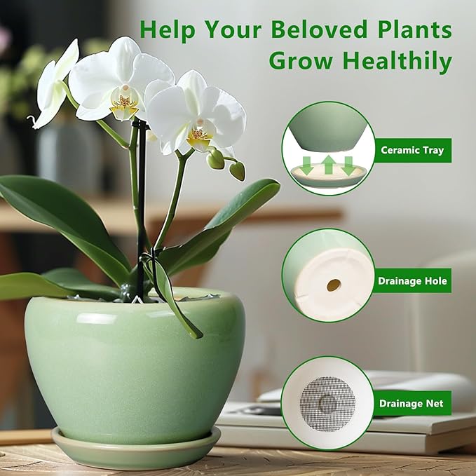 Ceramicfor 6 Inch Plant Pot - Ceramic Planter for Indoor Plants Round Planter Outdoor Plant Pot with Drainage Hole and Saucer Modern Flower Pot for Succulent Garden Green