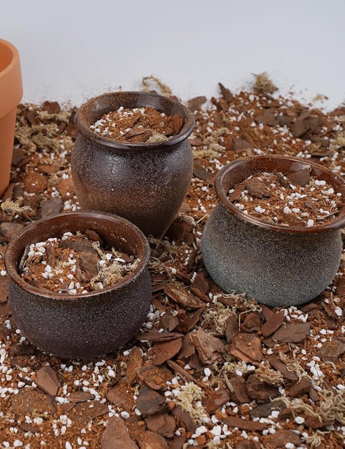 TOYPOPOR 3qt Orchid Potting Mix with Moss Pine Bark Mulch Perlite Stone & Coco Peat Natural Ingredients, Orchid Repotting Kit Drainage Indoor Potting Medium Great for Plant Root Climbing & Expanding