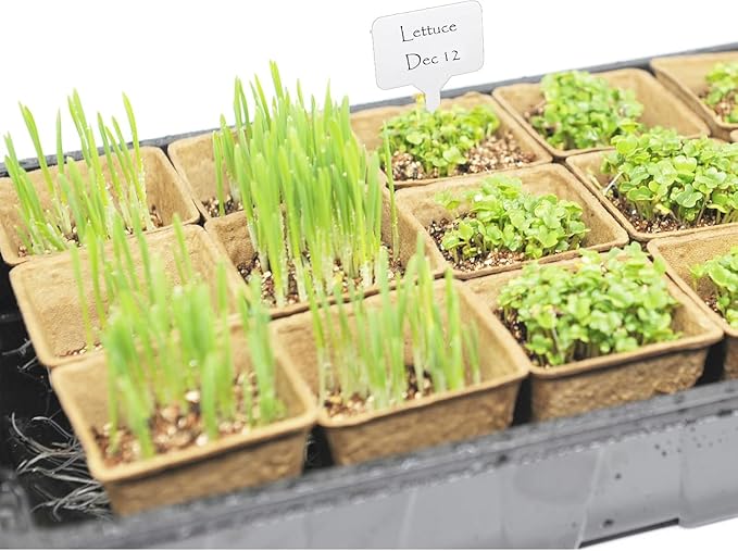 Seed Starter Kit with 100 Peat Pots for Seedlings Seed Starter Tray, 5 Plastic Growing Trays with Water Strainer 20 Plant Labels & 2 Garden Tools Outdoor or Indoor