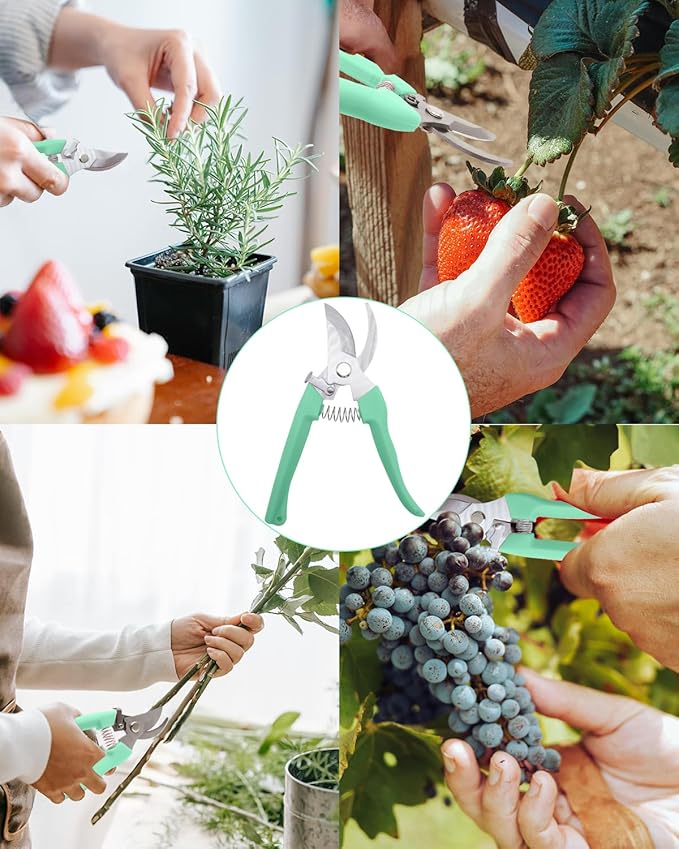 Pruning Shears for Gardening, 1 Pack Garden Scissors for Cutting Fresh Flowers, Floral Clippers for Plants, Fruits (Green)