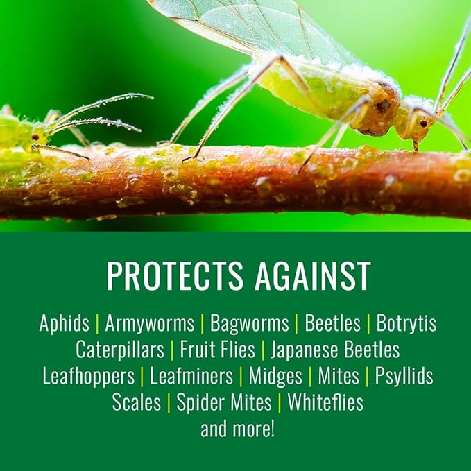 NATRIA Insecticidal Soap, Ready-to-Use Garden Bug Treatment, Insect Killer for Indoor and Outdoor Plants, 1 Gallon