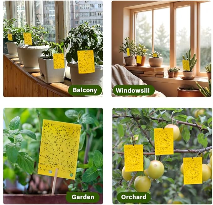 Fruit Fly Trap, 40pcs Yellow Sticky Traps for Plant Gnats, Two-Sided Insect Control, Fruit Fly Killer Indoor and Outdoor Protect The Plant