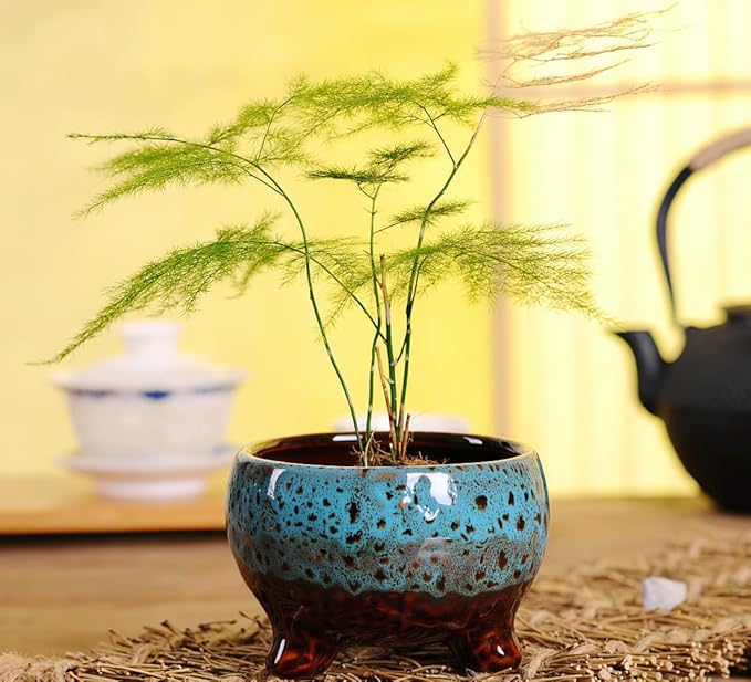Cute Circular Ceramic Home Garden Decoration Succulent Cactus Flower Pots Container -Plant Not Included (Red, 3.7 Inch)