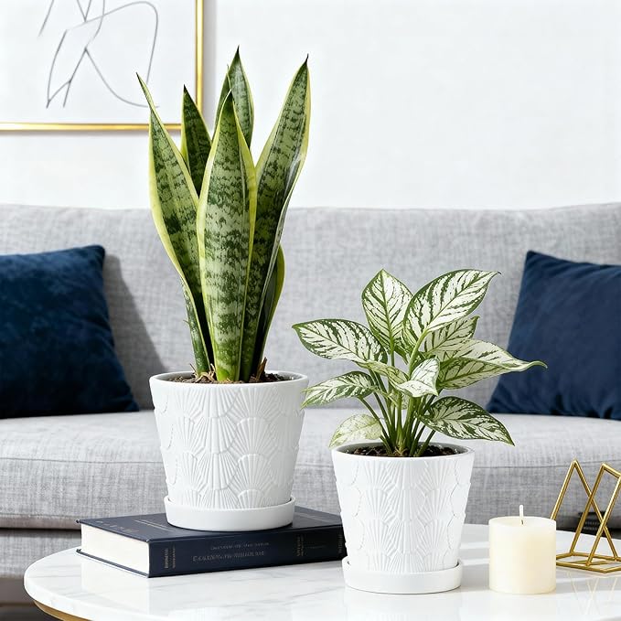 Ceramic Planter,5+6 Inch Ceramic Flower Pots with Drainage Hole&Tray,Embossed Seashell Design Plant pots,Planters for Indoor Plants Succulent Cactus,Flower Pot Home Decor-Set of 2,White