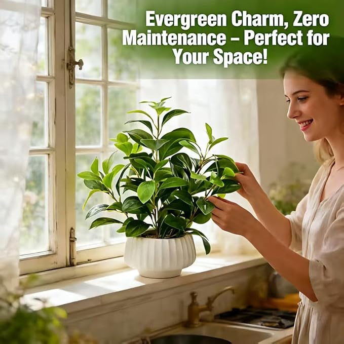Artificial Peperomia Plant 16.5” Tall Lifelike Faux Greenery in 6” White Ribbed Ceramic Pot Realistic Indoor Fake Branches for Home Office Desk Shelf Bathroom Bedroom Farmhouse Decor